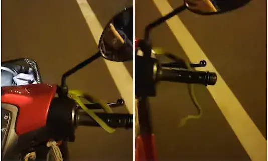 ബൈക്കിൽ മുൻസീറ്റ്​ യാത്രക്കാരനായി പാമ്പ്​; വിഡിയോ പകർത്തി ഒറ്റക്കൈയിൽ ​ഓടിച്ച്​ യുവാവ്​- വൈറലായി വിഡിയോ