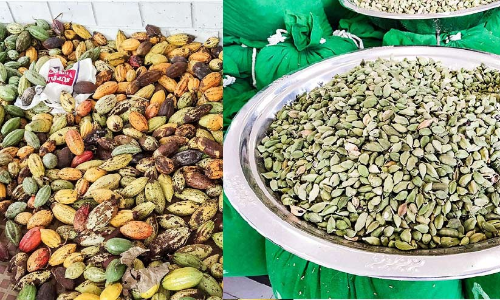 മലഞ്ചരക്ക് വിപണി സ്തംഭിച്ചു വ്യാപാരികളും കർഷകരും പ്രതിസന്ധിയിൽ മലഞ്ചരക്ക് വിപണി സ്തംഭിച്ചു വ്യാപാരികളും കർഷകരും പ്രതിസന്ധിയിൽ