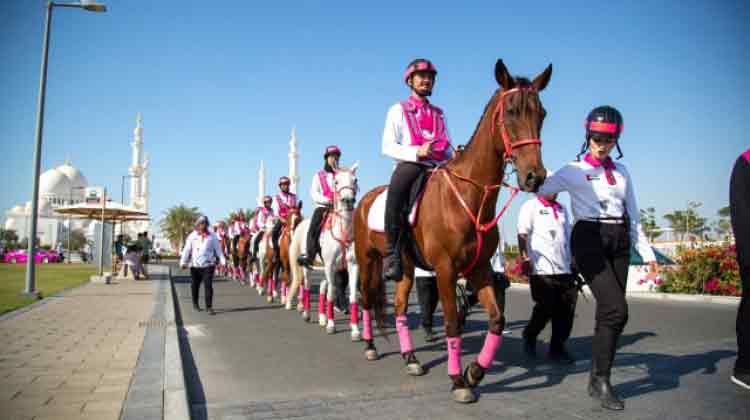 സ്തനാർബുദ ബോധവത്കരണവുമായി പിങ്ക് കാരവൻ വീണ്ടും സ്തനാർബുദ ബോധവത്കരണവുമായി പിങ്ക് കാരവൻ വീണ്ടും