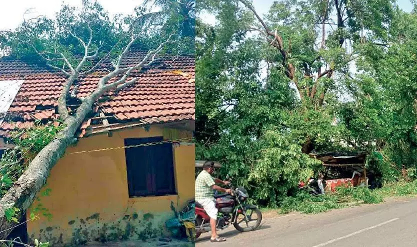 rain and wind rain and wind