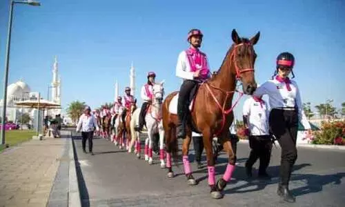 സ്തനാർബുദ ബോധവത്​കരണവുമായി പിങ്ക് കാരവൻ വീണ്ടും