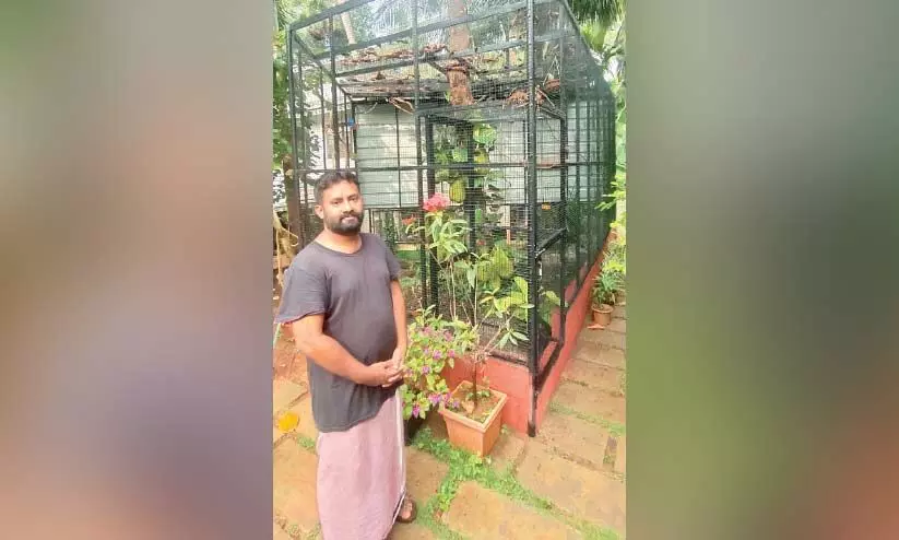 പക്ഷികൾക്ക് സ്വപ്നക്കൂടൊരുക്കി നാസർ പക്ഷികൾക്ക് സ്വപ്നക്കൂടൊരുക്കി നാസർ