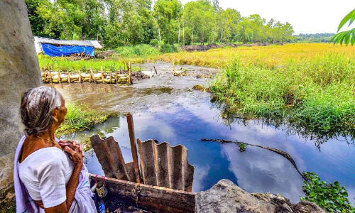 ശക്തമായ മഴ: മടവീണു​ നാട്ടകത്ത്​ 160 ഏക്കർ പാടത്തെ നെല്ല്​ ​വെള്ളത്തിൽ