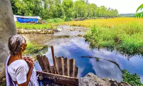 ശക്തമായ മഴ: മടവീണു​ നാട്ടകത്ത്​ 160 ഏക്കർ പാടത്തെ നെല്ല്​ ​വെള്ളത്തിൽ