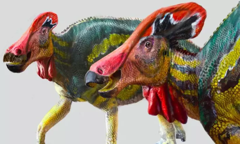 Talkative Dinosaur Talkative Dinosaur