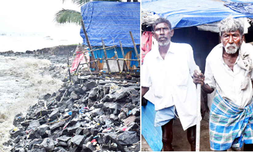 the family without help in sea shore the family without help in sea shore