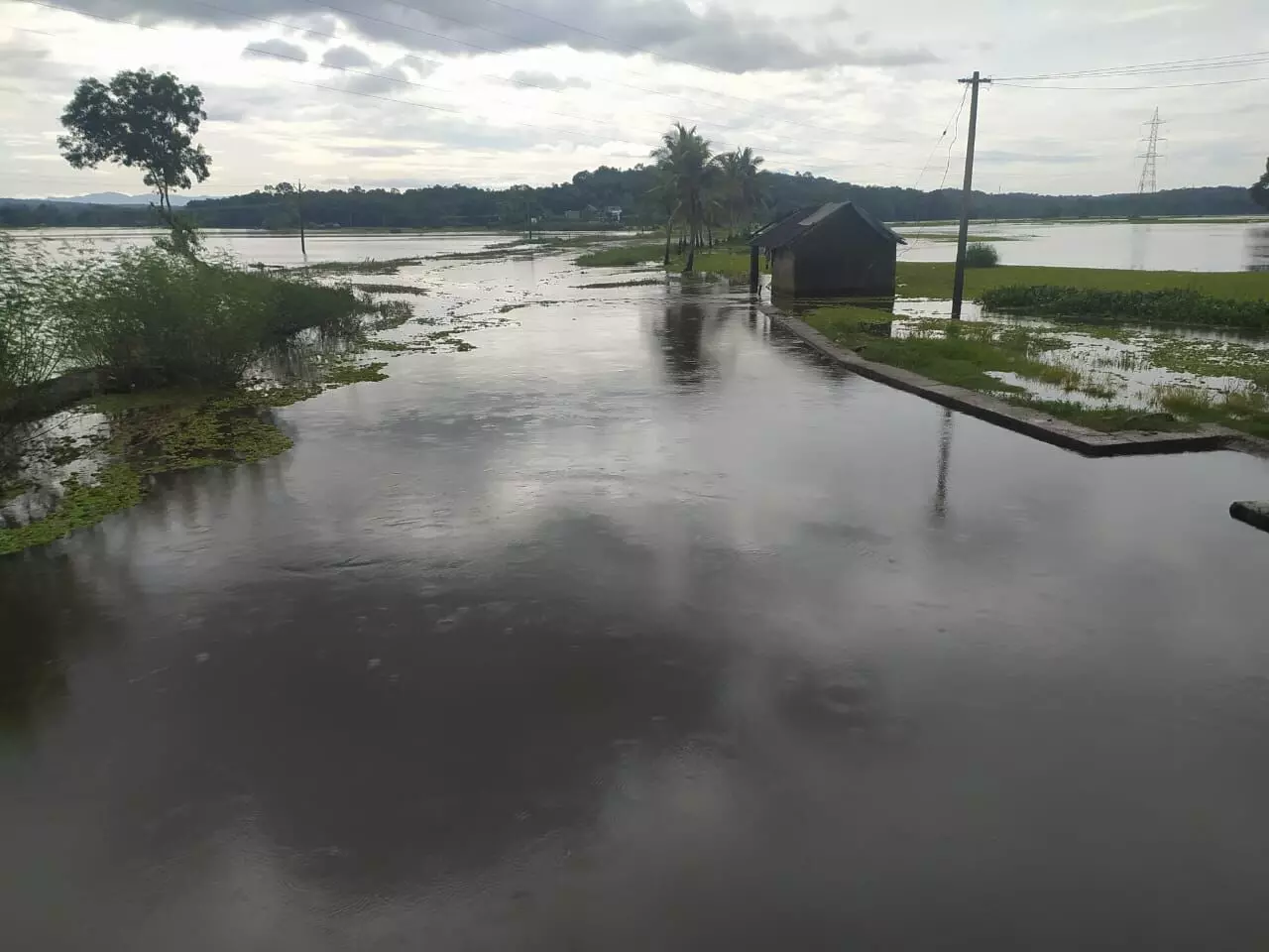 പുതുപ്പള്ളി മേഖലയിൽ വെള്ളം കയറിയപ്പോൾ