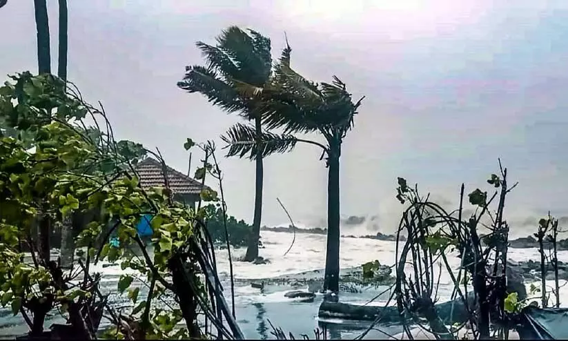 rain and wind arattupuzha rain and wind arattupuzha