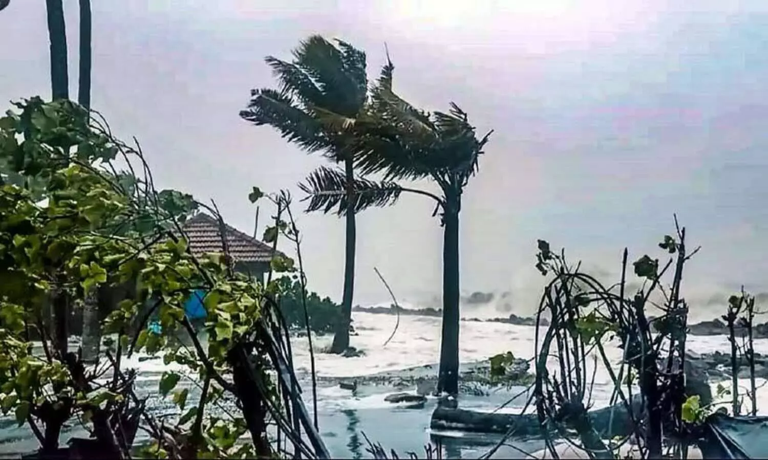 rain and wind arattupuzha