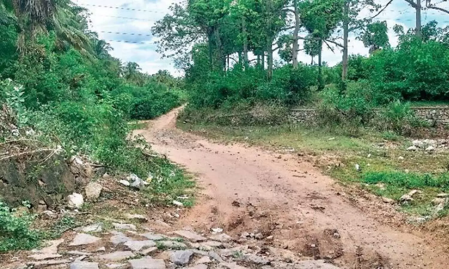 ഗോവിന്ദാപുരത്ത്​ ഊടുവഴികൾ തുറന്നുതന്നെ  സംസ്ഥാന​േത്തക്ക്​ വാഹനങ്ങളുടെ ഒഴുക്ക്