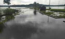 പുതുപ്പള്ളി മേഖലയിൽ വെള്ളം കയറിയപ്പോൾ