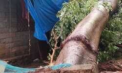 വീടുകൾക്ക്​ നാശനഷ്​ടം