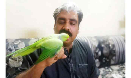 അ​നു-​നാ​സി​ ആ​ത്മ ബ​ന്ധ​ത്തി​ന്​ ഒ​രു പ​തി​റ്റാ​ണ്ട്​