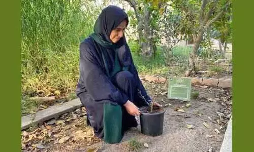 ഫലസ്​തീൻ ഐക്യദാർഢ്യം: ഒലിവ്​ മരം നട്ട്​ വിദേശകാര്യസഹമന്ത്രി