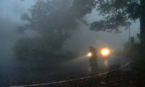 ഇടുക്കിയിൽ 205 ഹെക്​ടർ കൃഷിനാശം