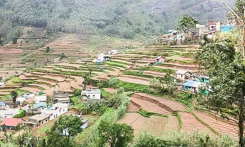 കാറ്റും മഴയും നടുവൊടിഞ്ഞ്​ വട്ടവട