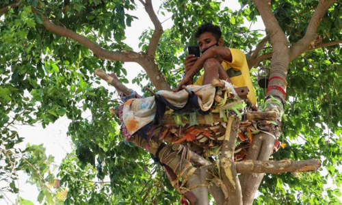 ഒറ്റമുറി വീട്ടിൽ​​ ഉൗഴം വെച്ചാണുറക്കം; കോവിഡ്​ പോസിറ്റീവായ വിദ്യാർഥി 11 ദിവസം ക്വോറൻറീനിലിരുന്നത്​ മരമുകളിൽ