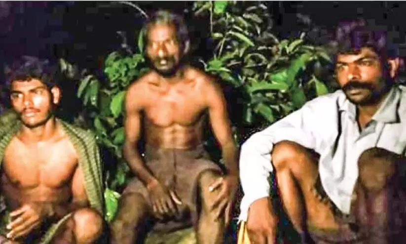 adivasi adivasi