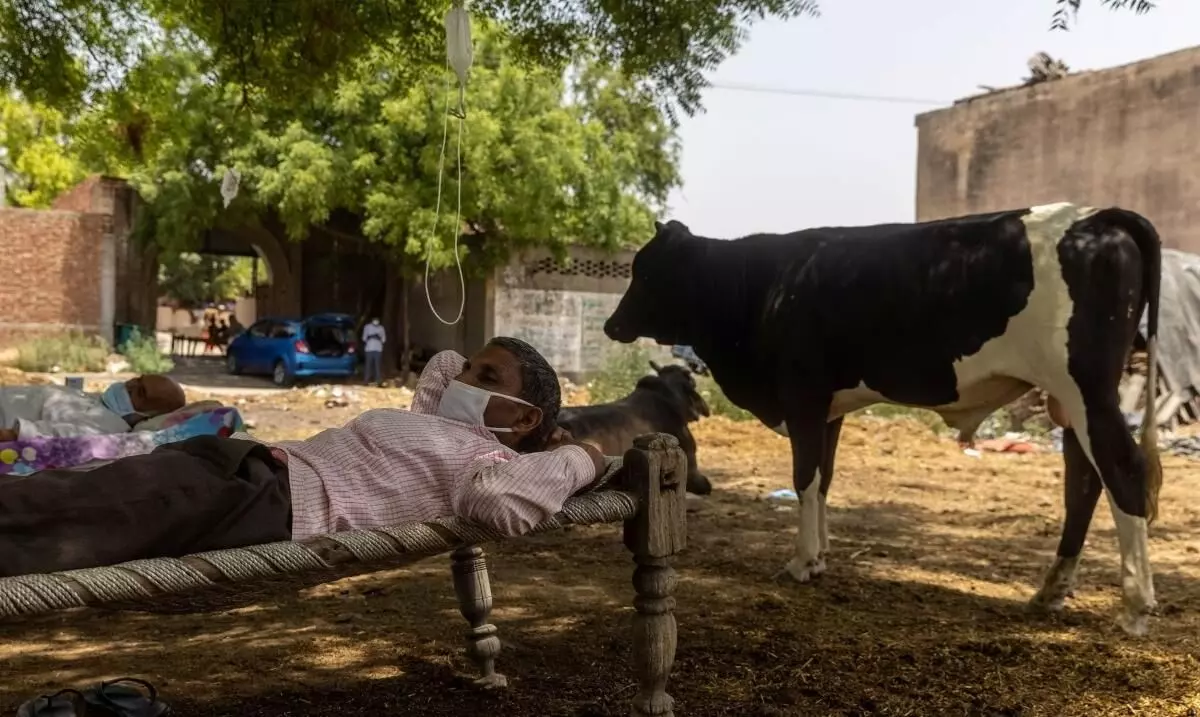 ഓക്സിജൻ കിട്ടാക്കനി; ഈ യൂ.പി ഗ്രാമത്തിൽ കോവിഡ് ചികിത്സ വേപ്പുമരച്ചുവട്ടിൽ ഓക്സിജൻ കിട്ടാക്കനി; ഈ യൂ.പി ഗ്രാമത്തിൽ കോവിഡ് ചികിത്സ വേപ്പുമരച്ചുവട്ടിൽ