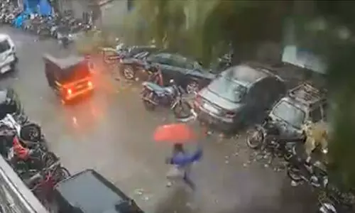 കടപുഴകി കൂറ്റന്‍ മരം; തലനാരിഴക്ക് രക്ഷപ്പെട്ട് യുവതി VIDEO