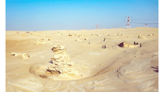 അ​ത്യ​പൂ​ർ​വ മ​ണ​ൽ രൂ​പ​ങ്ങ​ൾ; അൽ വത്ബ ഫോസിൽ ഡ്യൂൺസുകൾ സംരക്ഷിക്കാൻ പദ്ധതി