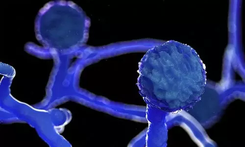 ബ്ലാക്ക്​ ഫംഗസ്​  പകരുന്ന രോഗമല്ല,​ ചികിത്സയും സഹായവും നല്‍കാന്‍ ഭയപ്പെടേണ്ട - മുഖ്യമന്ത്രി