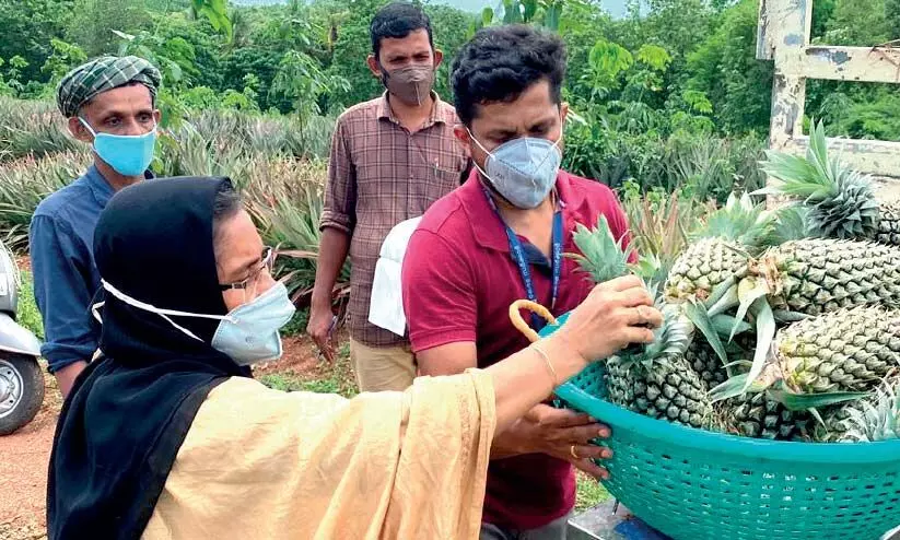 Home delivery service of the Department of Agriculture with incentives for farmers