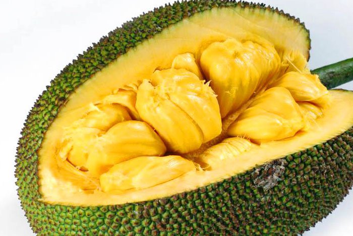 jack fruit jack fruit