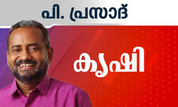 സി.പി.ഐ നേതാവ് പി.പ്രസാദ് മന്ത്രിയായി സത്യപ്രതിജ്ഞ ചെയ്തു സി.പി.ഐ നേതാവ് പി.പ്രസാദ് മന്ത്രിയായി സത്യപ്രതിജ്ഞ ചെയ്തു