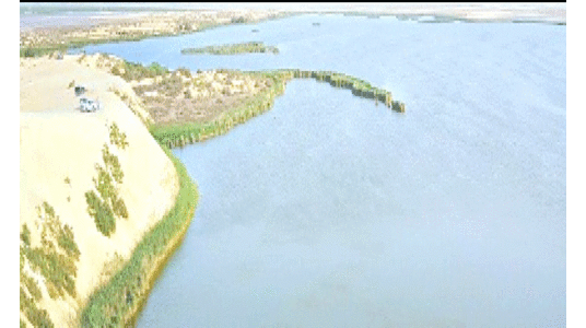 വി​നോ​ദ സ​ഞ്ചാ​രി​ക​ളെ മാ​ടി​വി​ളി​ച്ച് അ​ൽ​ഹ​സ​യി​ലെ മ​ഞ്ഞ​ത്ത​ടാ​കം