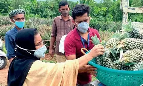 Home delivery service of the Department of Agriculture with incentives for farmers
