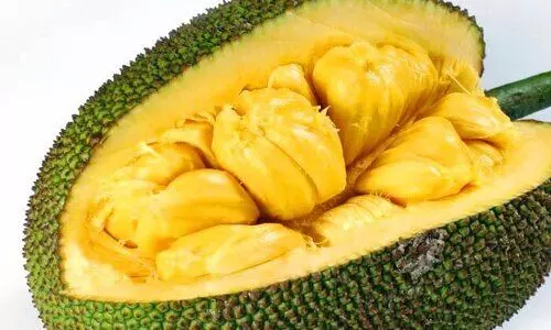 jack fruit