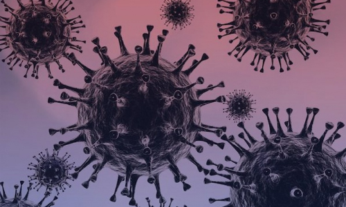 വെ​ള്ള​മു​ണ്ട​യി​ൽ ആ​ദി​വാ​സി​ക​ൾ​ക്കി​ട​യി​ൽ കോ​വി​ഡ് പ​ട​രു​ന്നു