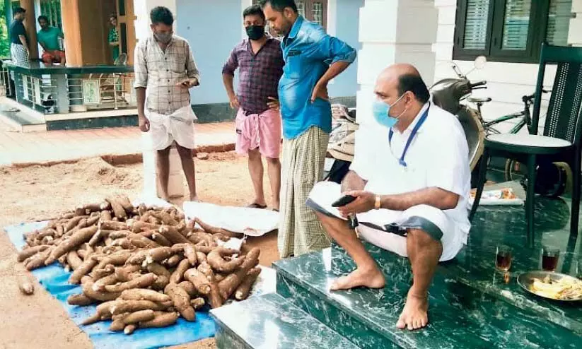 ക​ർ​ഷ​ക​നി​ൽ​നി​ന്ന് ക​പ്പ വാ​ങ്ങി നൂ​റോ​ളം കു​ടും​ബ​ങ്ങ​ൾ​ക്ക് സൗ​ജ​ന്യ​മാ​യി ന​ൽ​കി