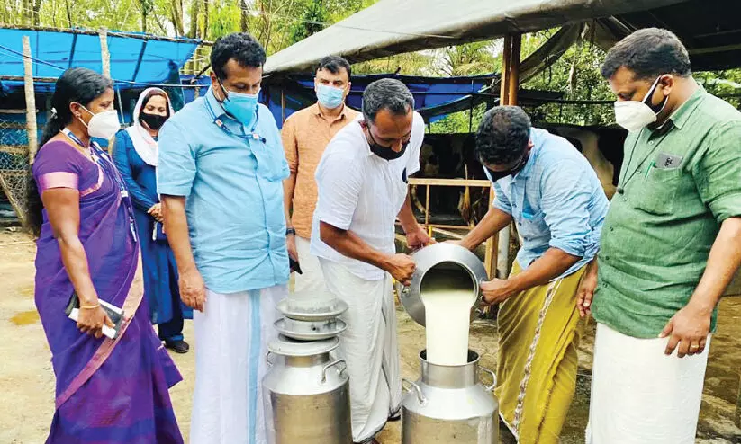 പാൽ കോവിഡ് രോഗികൾക്ക് നൽകി ഫാം ഉടമ