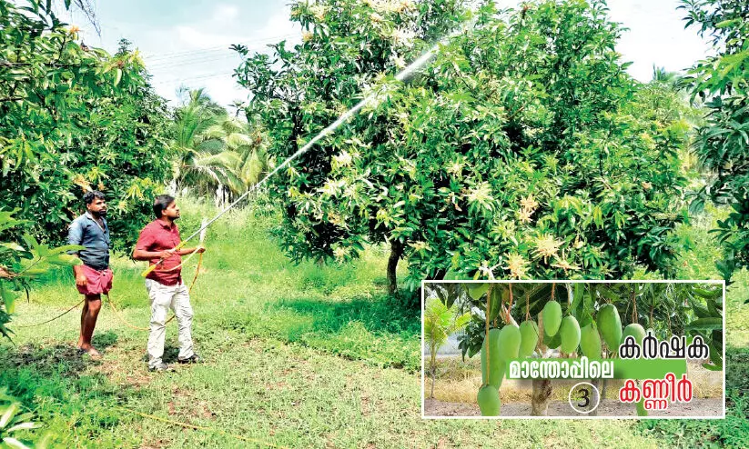 muthalamad muthalamad