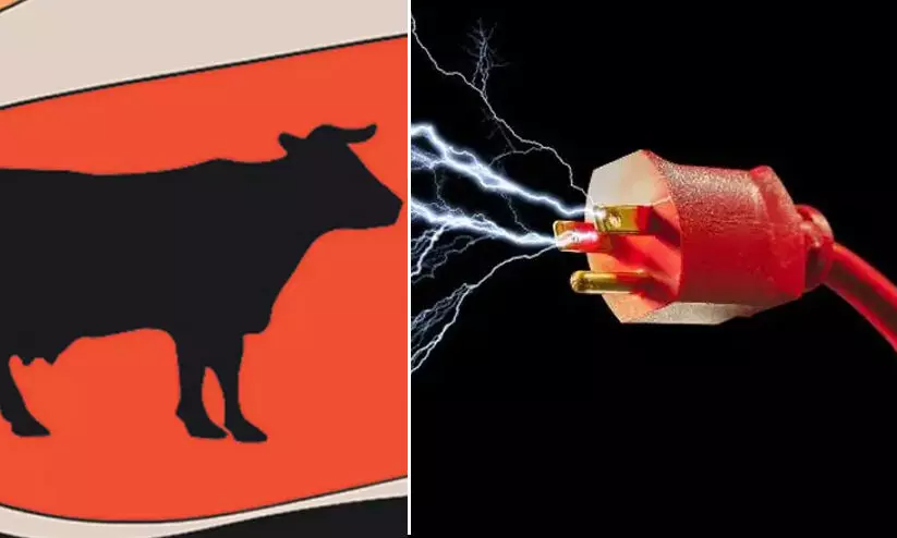 cow electric shop cow electric shop