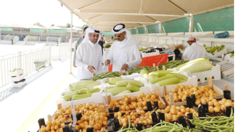 നമ്മൾ ഉൽപാദിപ്പിച്ച് നമ്മുടെ പച്ചക്കറി നമ്മൾ ഉൽപാദിപ്പിച്ച് നമ്മുടെ പച്ചക്കറി