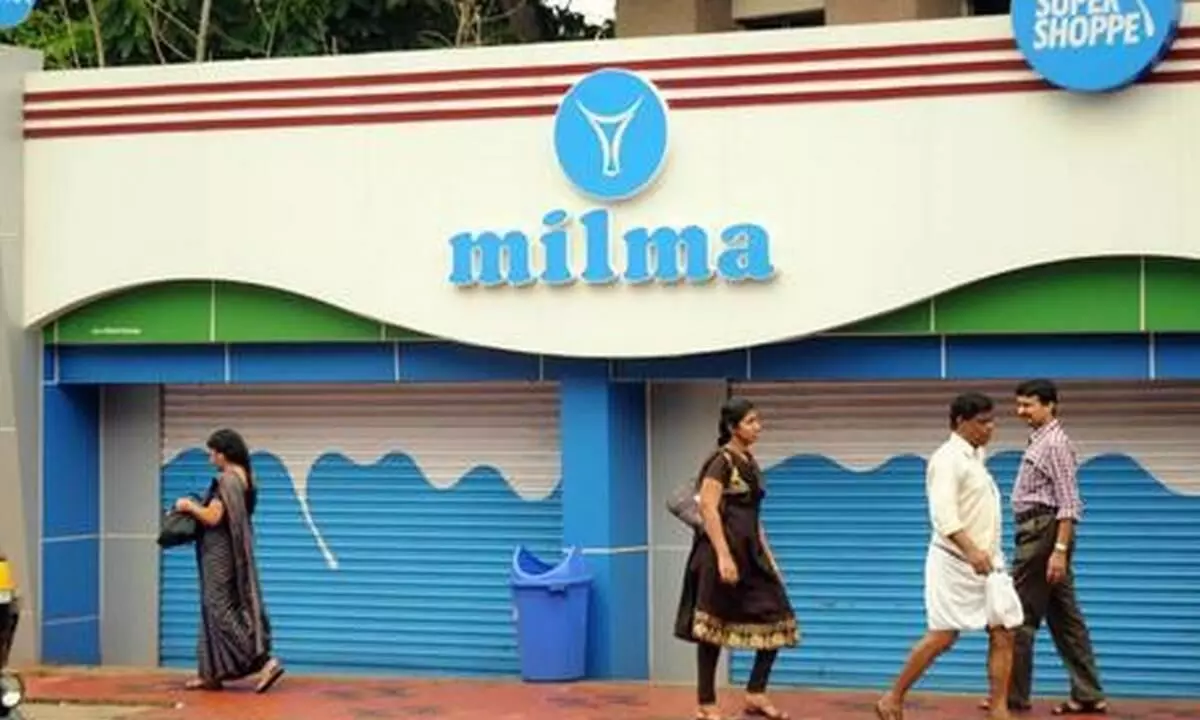 ക്ഷീരകർഷകരുടെ പ്രശ്​നത്തിന്​ പരിഹാരം; നാളെ മുതൽ മിൽമ മുഴുവൻ പാലും സംഭരിക്കും