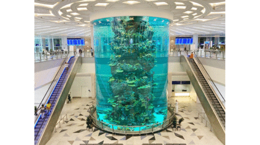 ര​ണ്ടാ​യി​ര​ത്തി​ലേ​റെ ഇ​നം മ​ത്സ്യങ്ങൾ​; നയന വിസ്​മയം ഈ വിമാനത്താവളത്തിലെ അക്വോറിയം