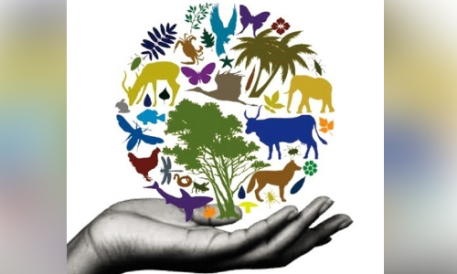 biodiversity day