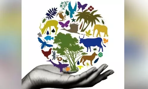 biodiversity day
