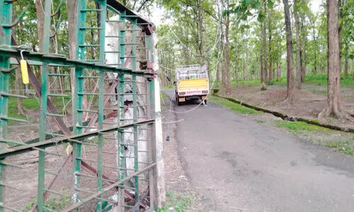 palakkolli forest side gate collapsed