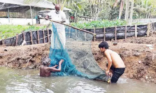 fish farming
