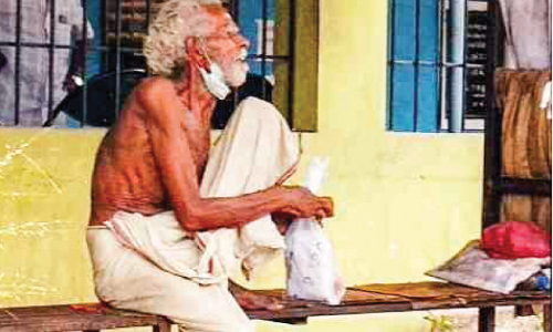 raman nair instrument artist