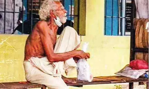 raman nair instrument artist