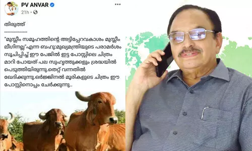 ആഫ്രിക്കയിൽ നിന്നും തിരിച്ചുവന്ന എരുമയെ മുഖ്യമന്ത്രി പുല്ലോ പിണ്ണാക്കോ കൊടുത്ത്​ മെരുക്കണം -പി.വി അൻവറി​െൻറ അധിക്ഷേപത്തിന്​ തിരിച്ചടിച്ച്​ അബ്​ദുറബ്ബ്​