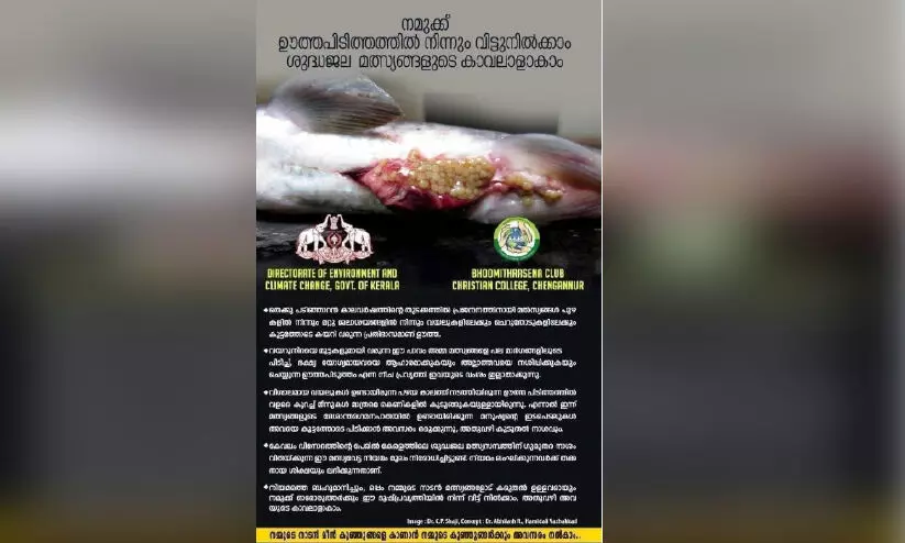 നിരോധനത്തിന് പുല്ലുവില ഊത്തപിടിത്തം വ്യാപകം; പൂ​വാ​ലി​ക​ൾ ഇ​നി​യെ​ത്ര കാ​ലം?