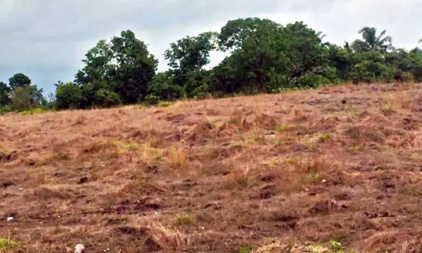 endosulfan endosulfan