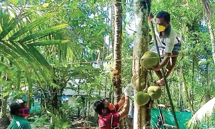 ഈ ഷമ്മി ഹീറോ ആണ് ഹീറോ.. ഈ ഷമ്മി ഹീറോ ആണ് ഹീറോ..